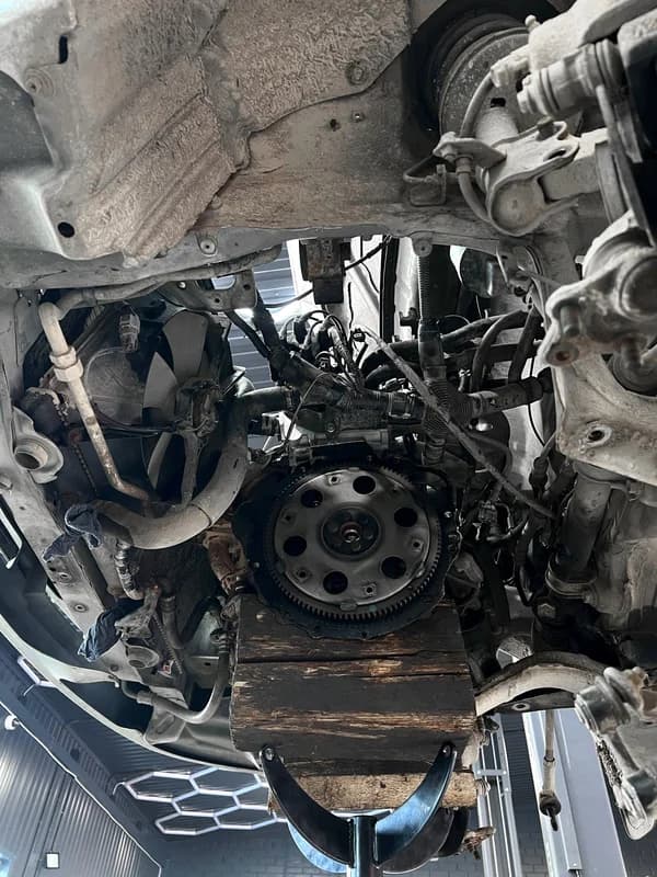 Case Image