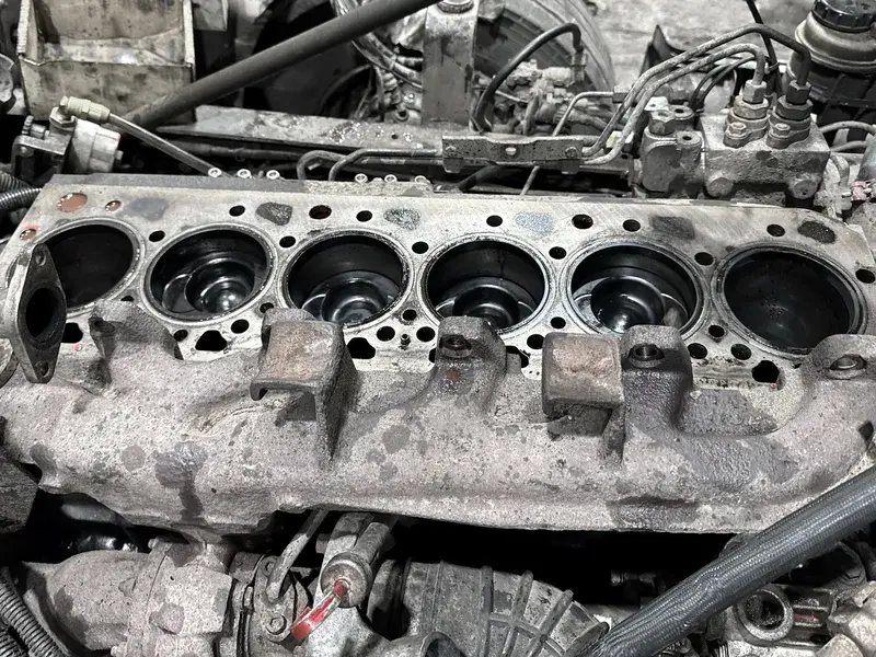 Case Image